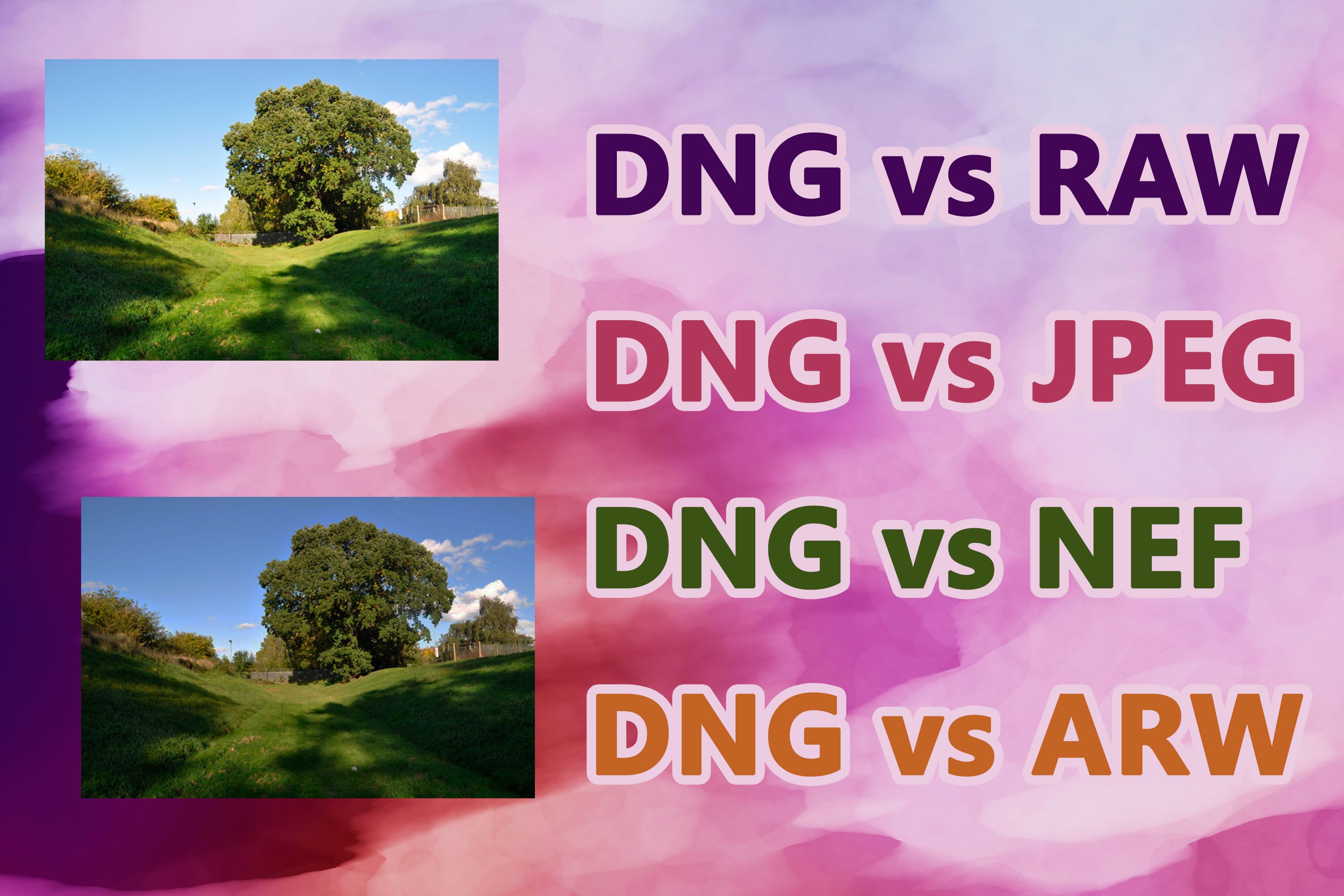 Formats DNG vs RAW..
