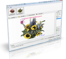 batch image watermark for Vista