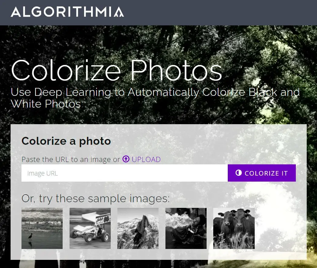 Coloriser les vieilles photos en ligne sur algorithmique..