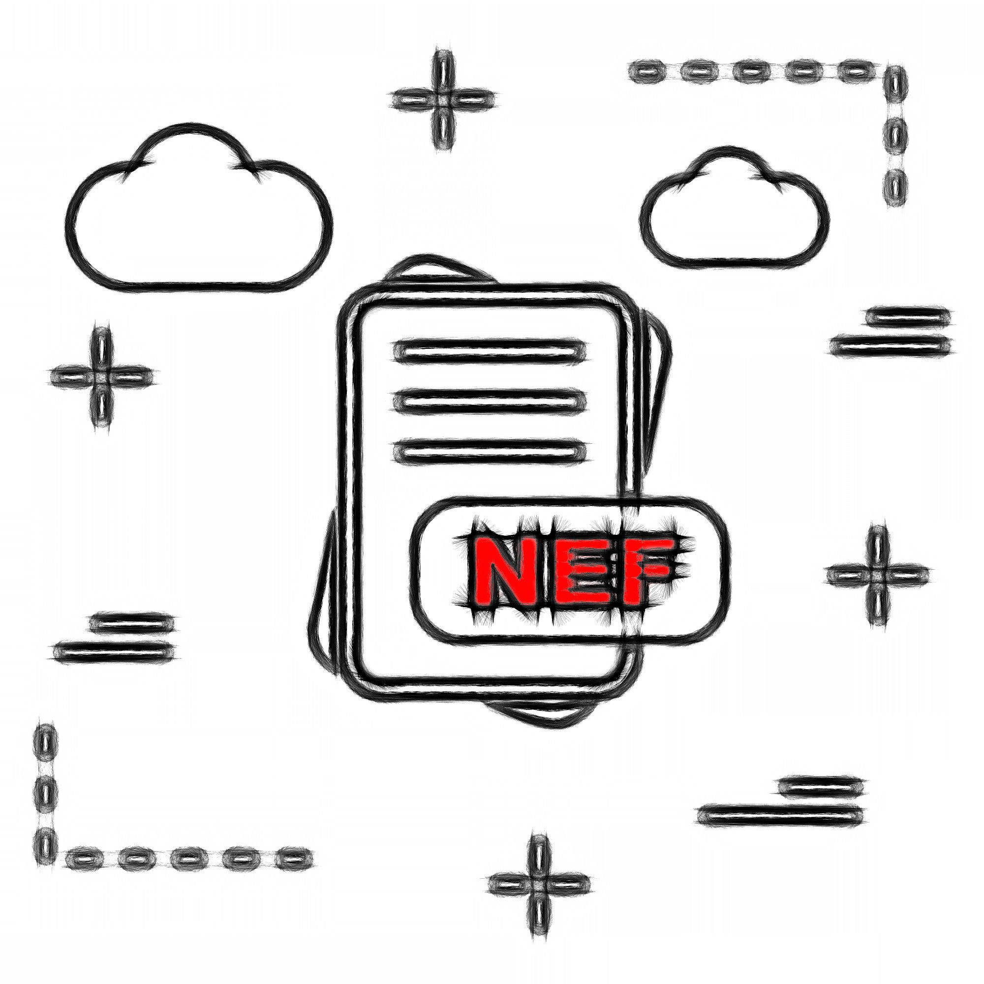 Format du fichier Nef..