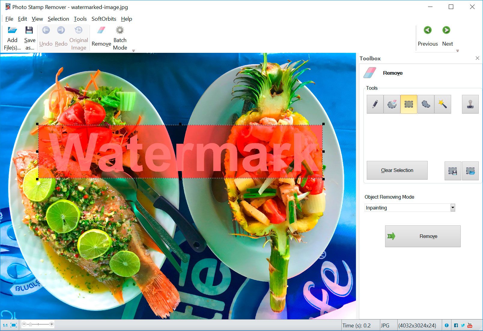 Photo Stamp Remover Capture d