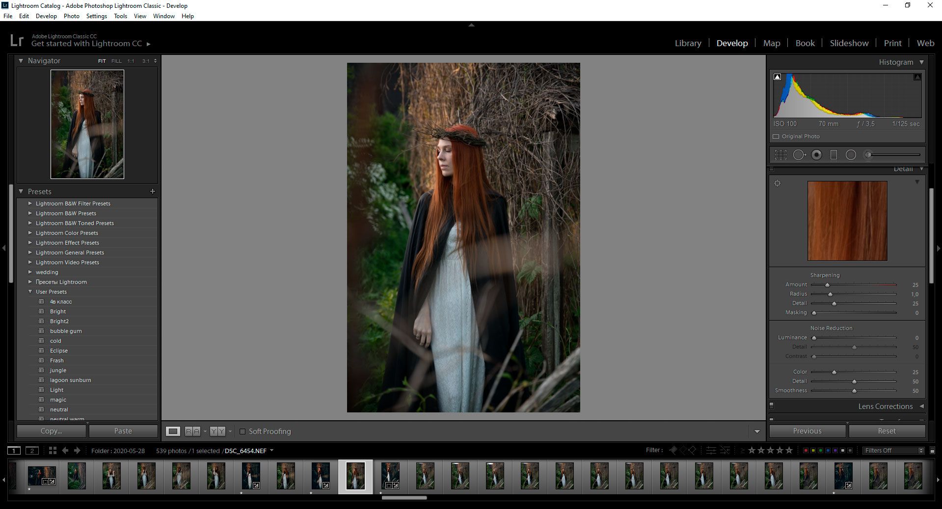 Corriger les photos floues dans Lightroom..