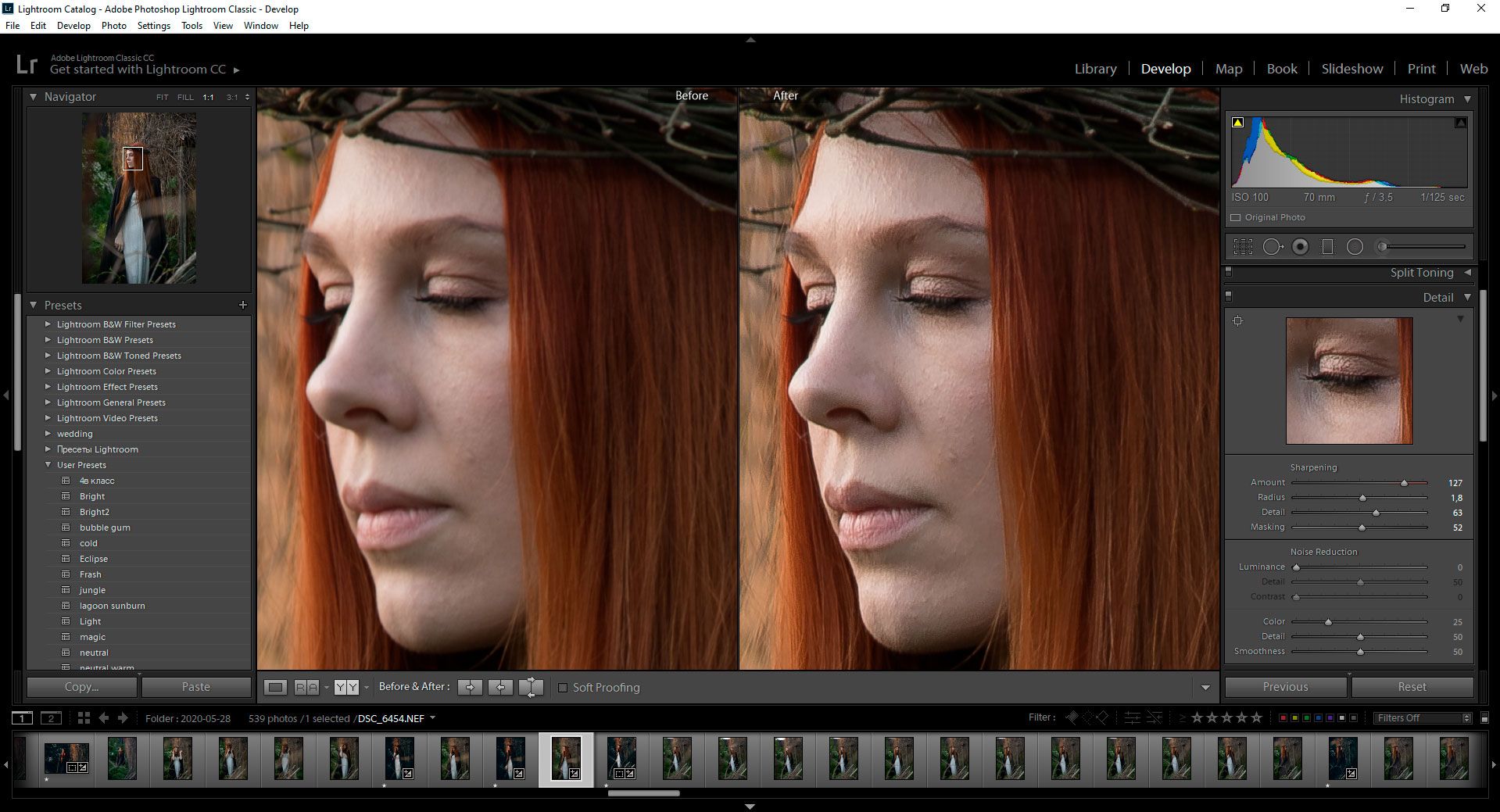 Résultat Comment corriger les photos floues dans Lightroom..