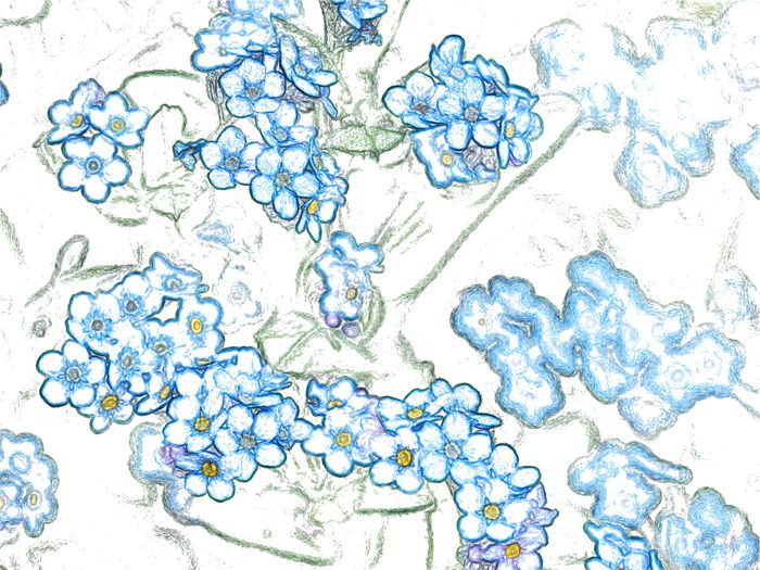 Convertir une photo en dessin - SoftOrbits Captures d écran. Convertir une photo en dessin - SoftOrbits Captures d écran.