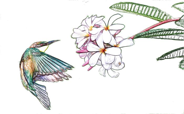 Modifier une photo en dessin - SoftOrbits Captures d écran. Modifier une photo en dessin - SoftOrbits Captures d écran.