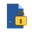 Word Password Recovery