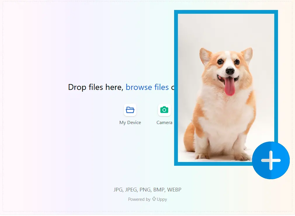 Téléchargez votre image.