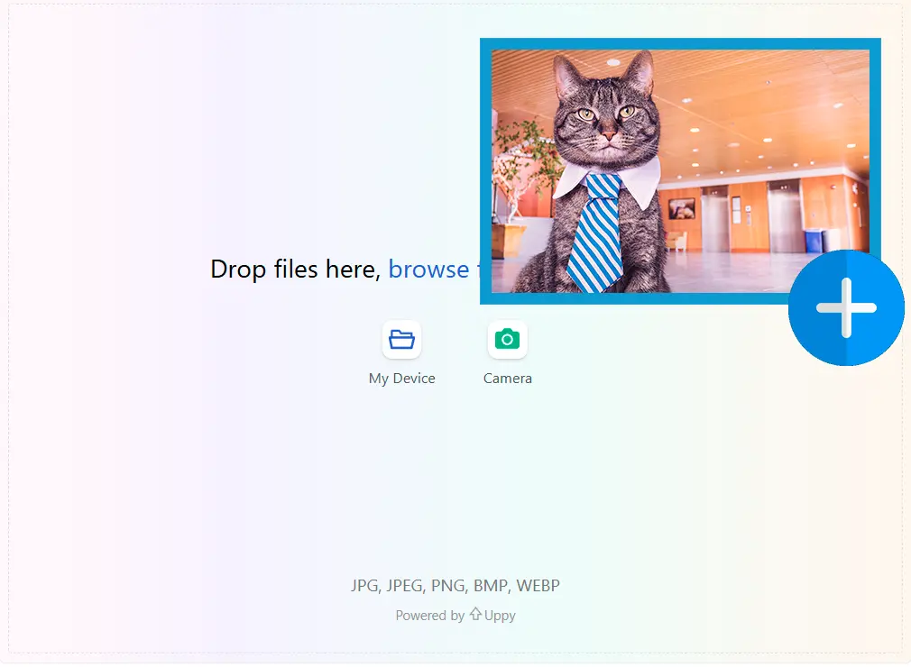 Téléchargez la première image.
