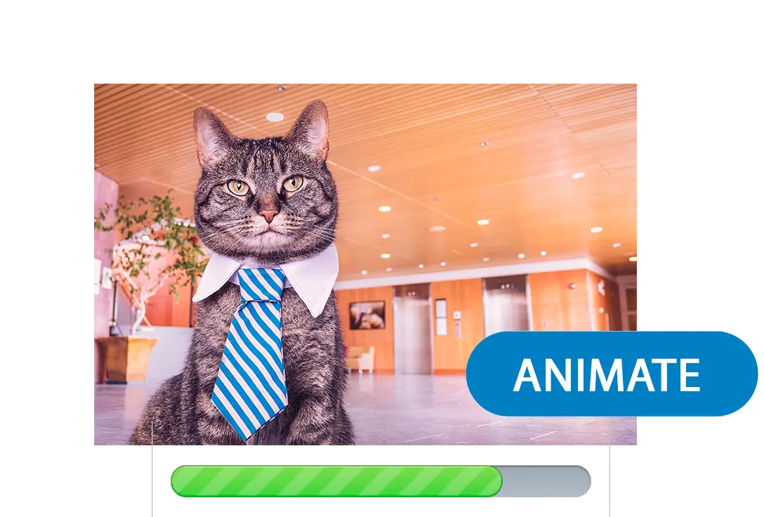 Générer la vidéo.