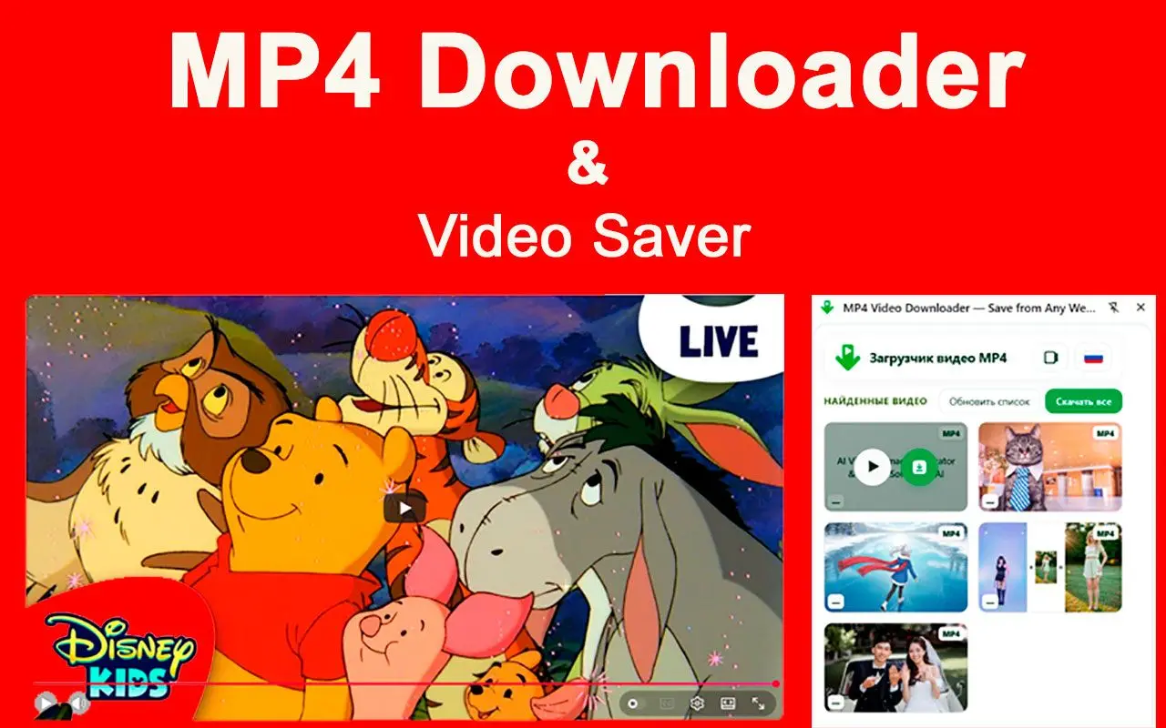 Limites de MP4 Downloader & Extension Chrome.