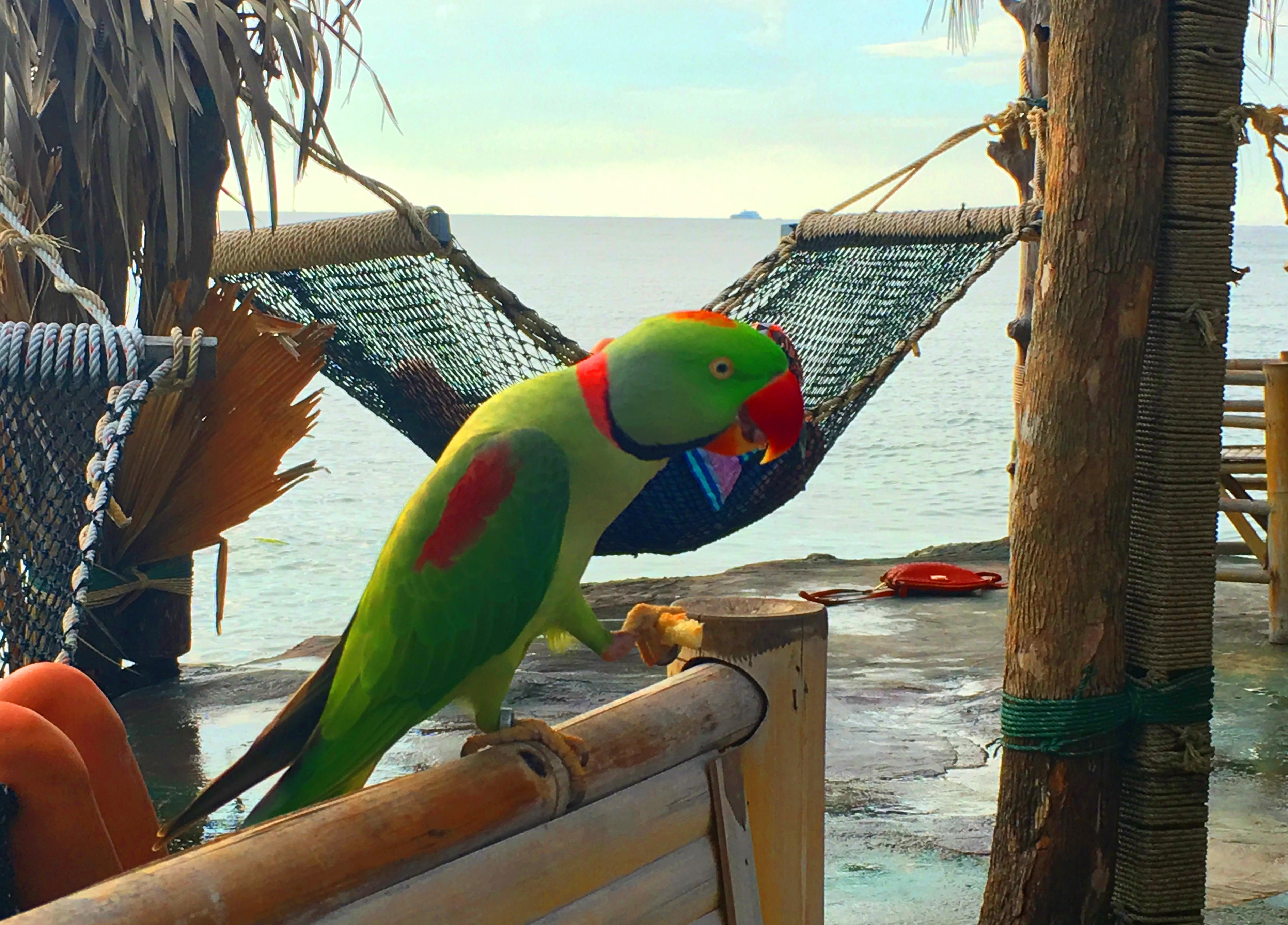 Supprimer le texte de l