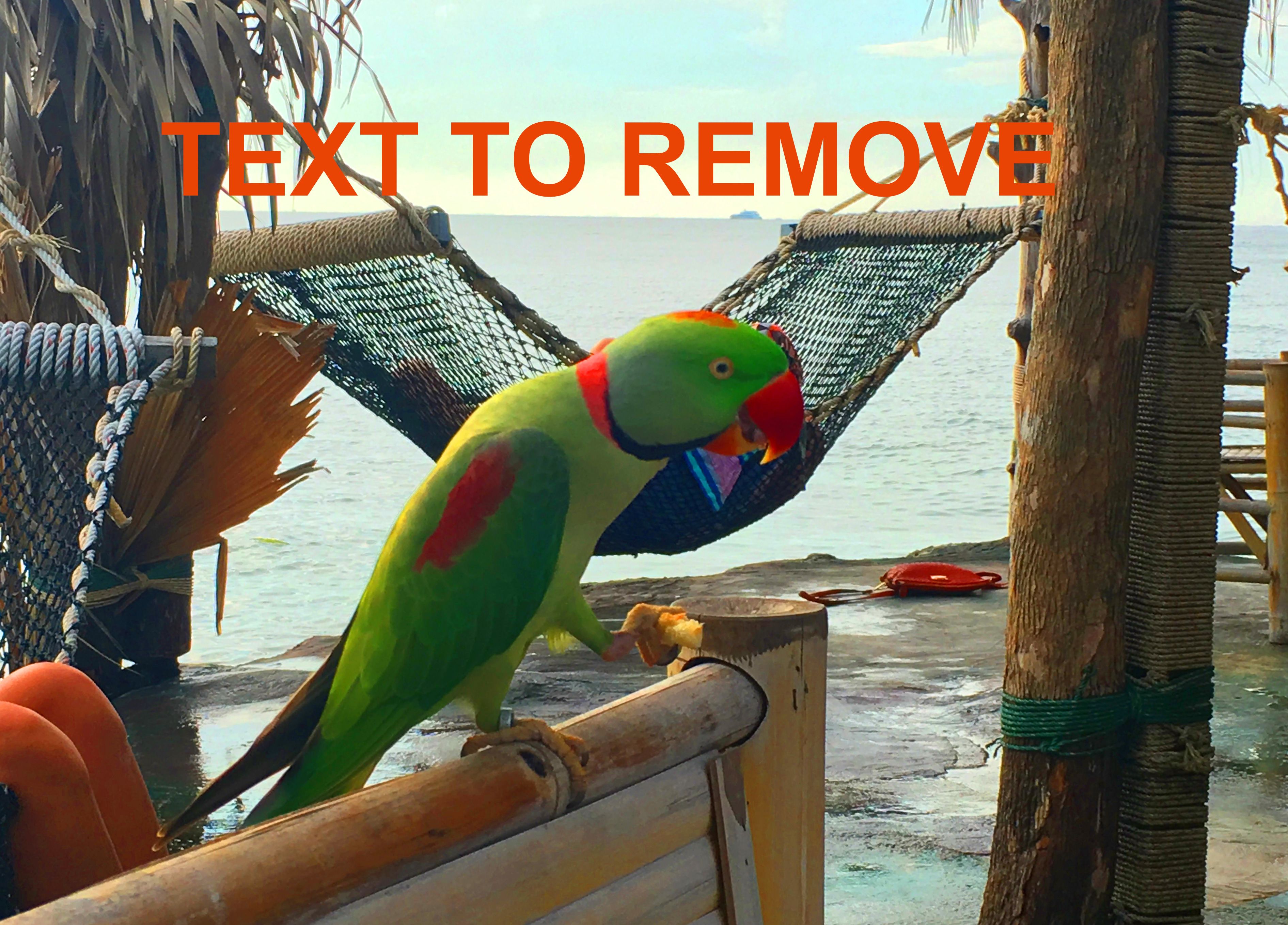 Supprimer le texte de l