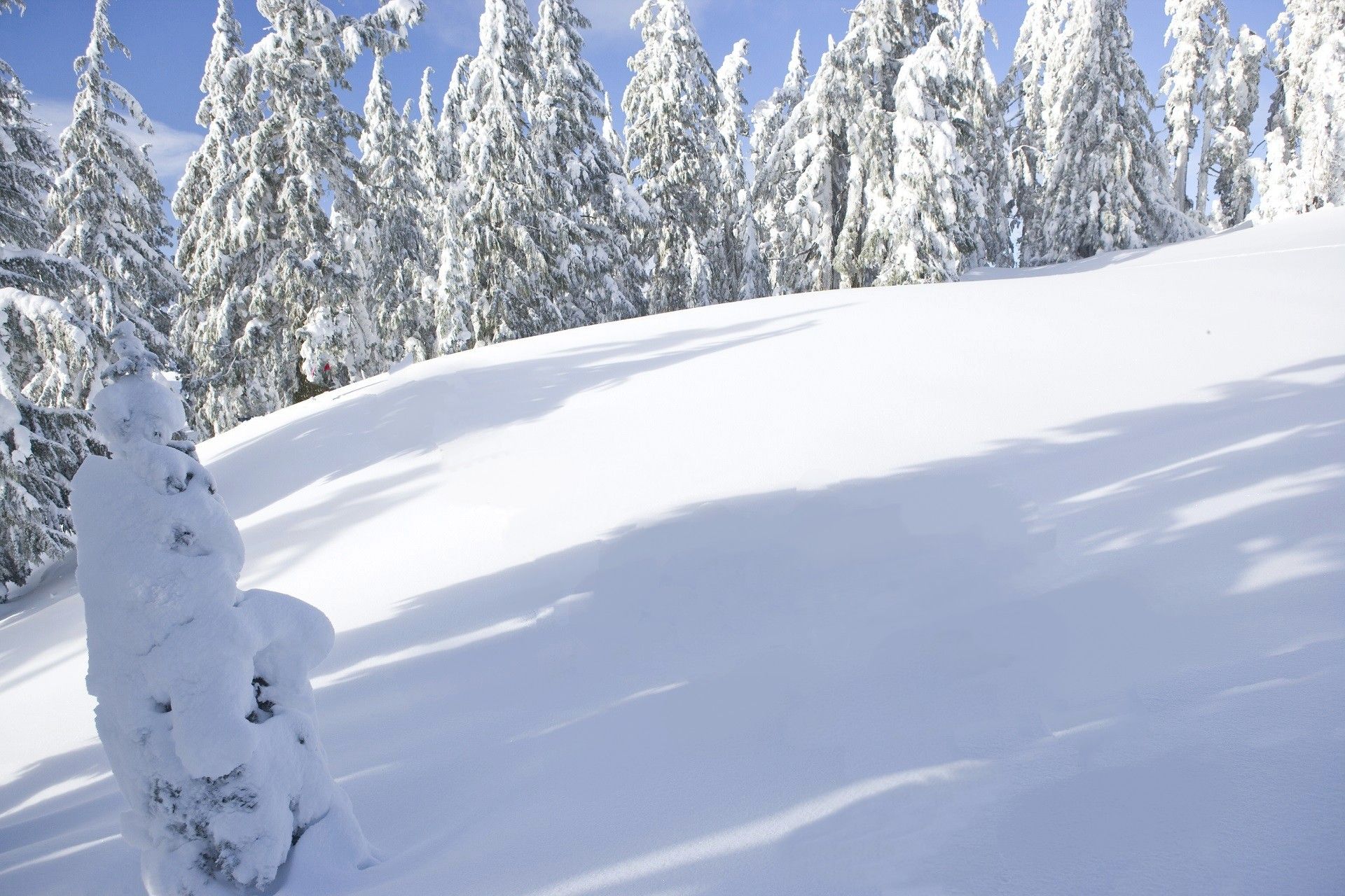 Supprimer des filigranes Après.
