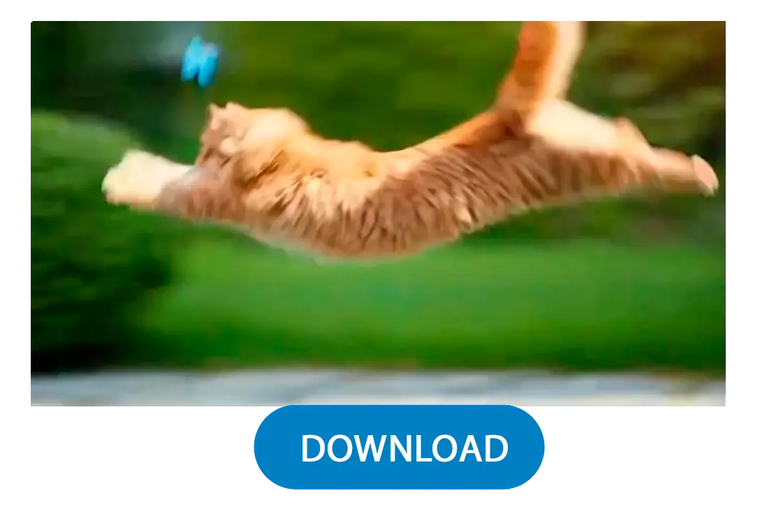 Générer & Télécharger.