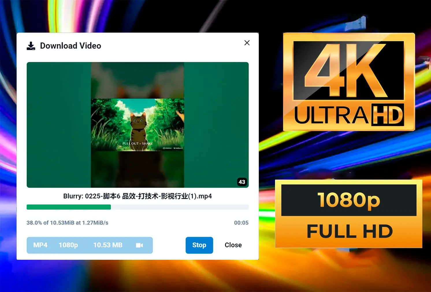 Qualité HD et 4K.
