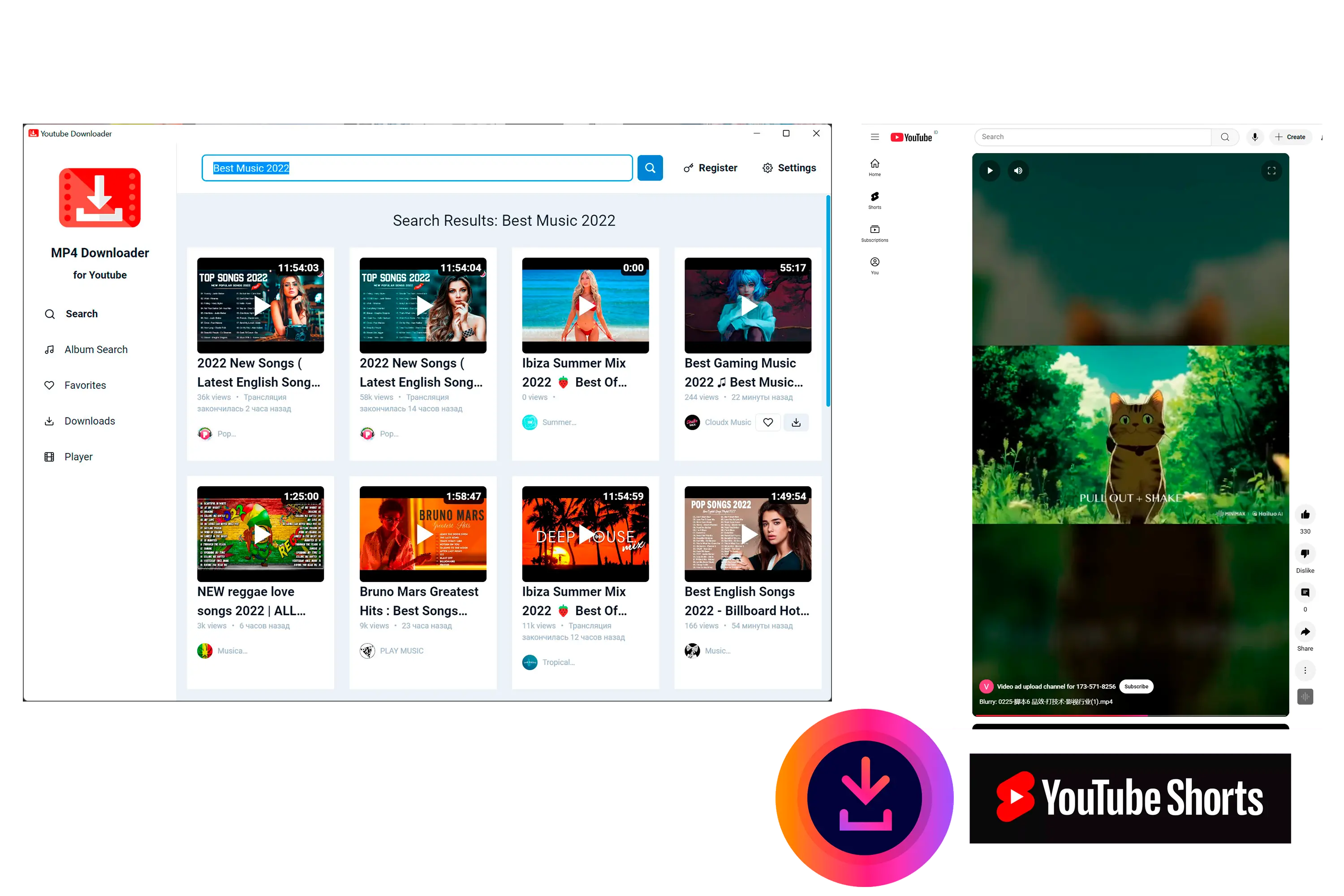 MP4 Downloader for Youtube Capture d